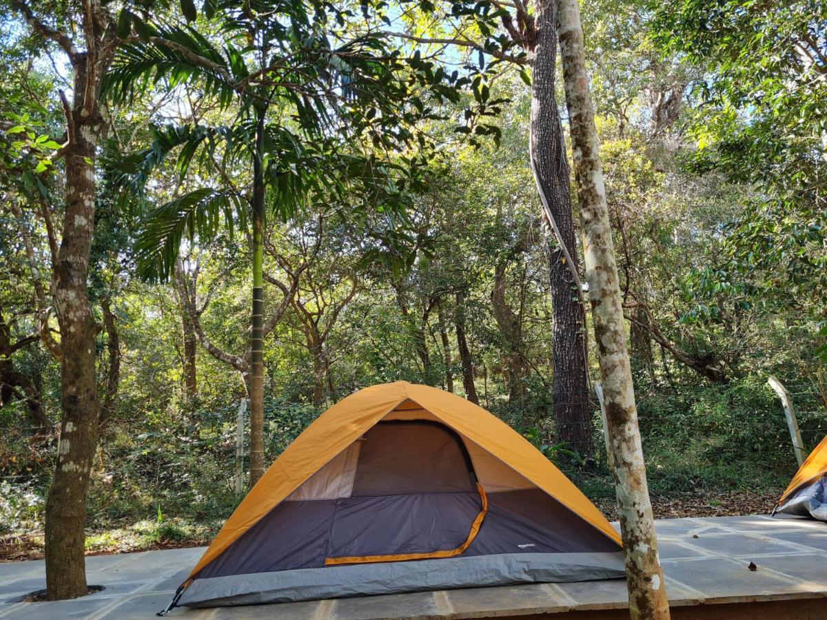 Captain'S Camp Sirsi Exterior foto